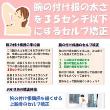 腕の付け根の太さを３５センチ以下にするセルフ矯正 二の腕 顔 矯正 下腹部 ダイエット