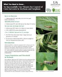 The ipm principles and benefits this provides a more effective, environmentally sensitive approach. Pest Management For Arkansas Field Crops