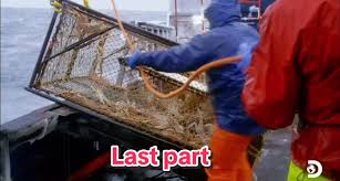 The Saga Finds 435 Crabs in ONE Pot | Deadliest Catch #deadliestcatch #sea  #beringsea #captain #fishing #fishinglife #viral #trending #foryou #fyp  #fypシ゚viral #Saga