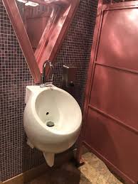 this sink i almost mistook as a urinal
