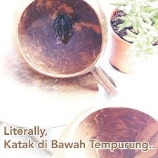 Tempurung dalam kamus besar bahasa indonesia (kbbi) memiliki arti, yaitu kulit buah yang keras, terutama kulit buah kelapa; Chefgavriel Instagram Posts Gramho Com