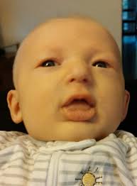 Obituary for Owen Michael Harsha