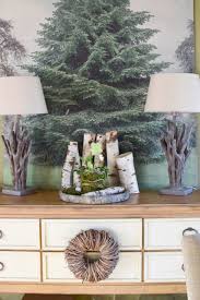 Diy Moosubertopf So Wird Er Besonders Schon Mrs Greenery Dekor Deko Deko Ideen