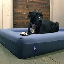 dog bed small medium or large casper dog beds for small dogs dog bed large durable dog bed