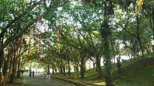 Read 84 tips and reviews from 13240 visitors about cycling, picnics and outdoor photoshoot. Cycling Review Of Putrajaya Botanical Garden Putrajaya Malaysia Tripadvisor