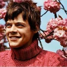 Harry Sunshine (@Harry_SSunshine)