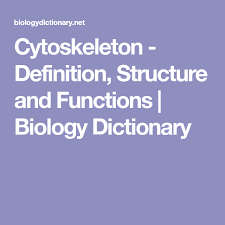 Cytoskeleton Definition Structure And Functions Biology Dictionary Structure And Function Biology Definitions