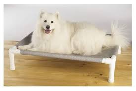 Feb 14, 2013 · for years, i've been sleeping on a mattress on the floor. Diy How To Make No Sew Elevated Dog Beds Out Of Pvc Pipes Dreamydoodles Northwest Elevated Dog Bed Pvc Dog Bed Outdoor Dog Bed