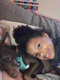 Black bear safely caught and released in Maryland