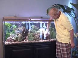 How To Clean A Fish Tank Aquarium Part 1 Fish Tank Fish Tank Cleaning Goldfish Tank