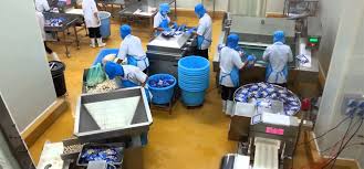 Fish Balls Processing Machines Line For Quality Fish Ball