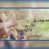 Sad poetry is sharing the best urdu sad shayari with images for lover (girlfriend) 2021. 1