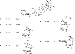 Image result for Zanha golungensis