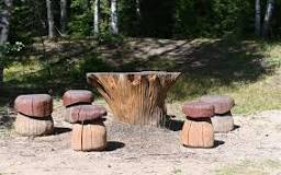 Image result