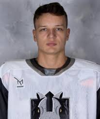 San Jose Barracuda Henderson Silver Knights