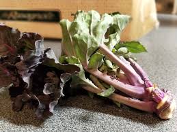 500+ vectors, stock photos & psd files. Uberbackene Pappardelle Mit Flower Sprouts Ein Nudelsieb Bloggt