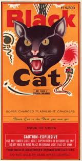 131 results for firecracker blackcat. 18 Black Cat Fireworks Ideas Black Cat Fireworks Black Cat Fireworks