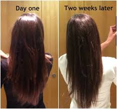 The most important part of introducing a quality supplement into your life is consistency. My 90 Day Hair Growth Journey With It Really Works Vitamins Before And After Pics Reliablecounter Blog