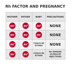 Image result for Blood Type