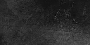 THE SIGNAL