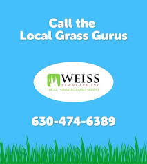Maybe you would like to learn more about one of these? Weiss Lawn Care Inc And Weiss Snow Removal Inc Home Facebook