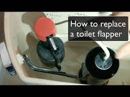 We did not find results for: How To Replace A Toilet Flapper By Best Plumbing Seattle Wa 206 633 1700 Youtube