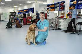 If your dog is 8, and the average lifespan for his weight and breed is 10 years, and your veterinarian tells you that his survival time for his cancer is about 18 months to two years, and calls that a long time, he's right from a medical perspective. Living Well With Metastatic Cancer Fitzpatrick Referrals