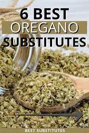 The best replacement for oregano is marjoram, as the two are very closely related and have very similar flavors. 6 Best Substitutes For Oregano For Cooking Recipes Recipe Marker