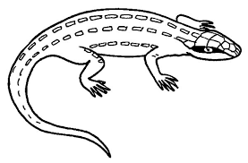 Plus, it's an easy way to celebrate each season or special holidays. Wild Life Lizard Coloring Pages Download Print Online Coloring Pages For Free Color Nimbus