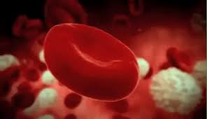 تصویر مرتبط