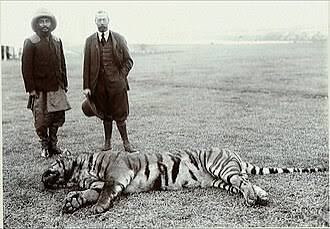 1911 hunt by George V in Nepal - Wikipedia