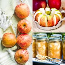 Homemade apple pie filling made with cinnamon, sugar and lemons is an easy way to use up your apples. Canning Easy Apple Pie Filling Recipe For Pies Crisps And Pancakes