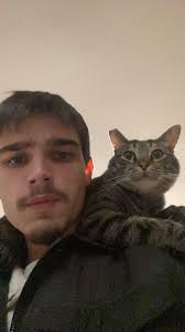 Lost cat in San Angelo area