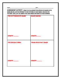 science art activity draw four species of snakes chart length