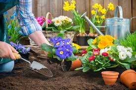 Jetzt erwachen die pflanzen langsam wieder aus ihrem winterschlaf und beginnen zu treiben. Der Fruhling Ist Da Gartenarbeiten Im Marz Blog Von Town Und Country Haus