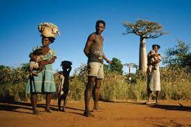 It has an area of 587,041 square km. Social Science Research In Madagascar It S A Jungle The Features