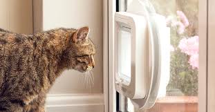 Check spelling or type a new query. 8 Ways To Create A Cat Friendly Garden