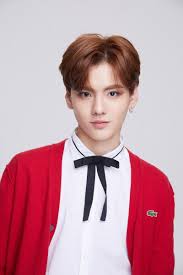 Bi Wenjun Idol Producer My Idol Beldade Masculino