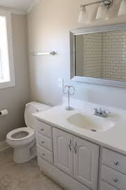 Guest Bath Before After Elizabeth Burns Design Raleigh Nc Interior Designer Simple Bathroom Renovation Bathroom Design Diy Bathroom Remodel