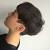 Undercut Korean Bowl Cut