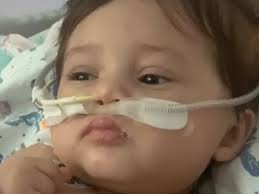 Fundraiser by Kayli Greathouse : Help through Everleigh's recovery