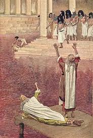 Plagare, herir.) ► sustantivo femenino 1 desastre o calamidad persistente que. Diez Plagas De Egipto Wikiwand