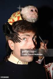 12 George The Inimitable Monkey Stock Photos, High-Res Pictures, and Images 