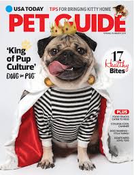 Learn the risks associated with pugs and make sure you're prepared to deal with them down the road. How Doug The Pug Became The Reigning King Of Pup Culture