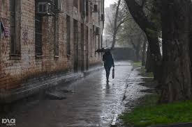 Weather forecast accurate to a district level. V Vyhodnye Na Kubani Budet Dozhdlivo I Prohladno