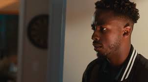 Public Service & Activism