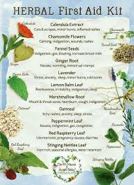 Herbal First Aid Kit Herbalism Healing Herbs Natural Health Remedies