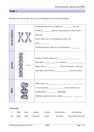 Chromosomes Genes And Dna Worksheet With Answers You can do the exercises online or download the worksheet as pdf.