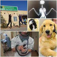 Coronado Pet Hospital - Home Facebook
