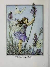 The Lavender Fairy Flower Fairies Cicely Mary Barker Fairy Tattoo